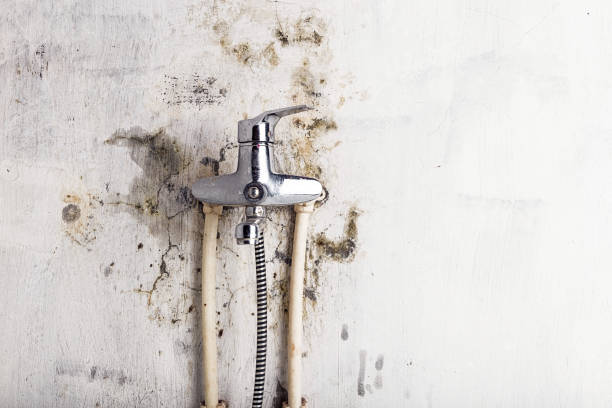 Best Mold Testing  in Farmington, UT